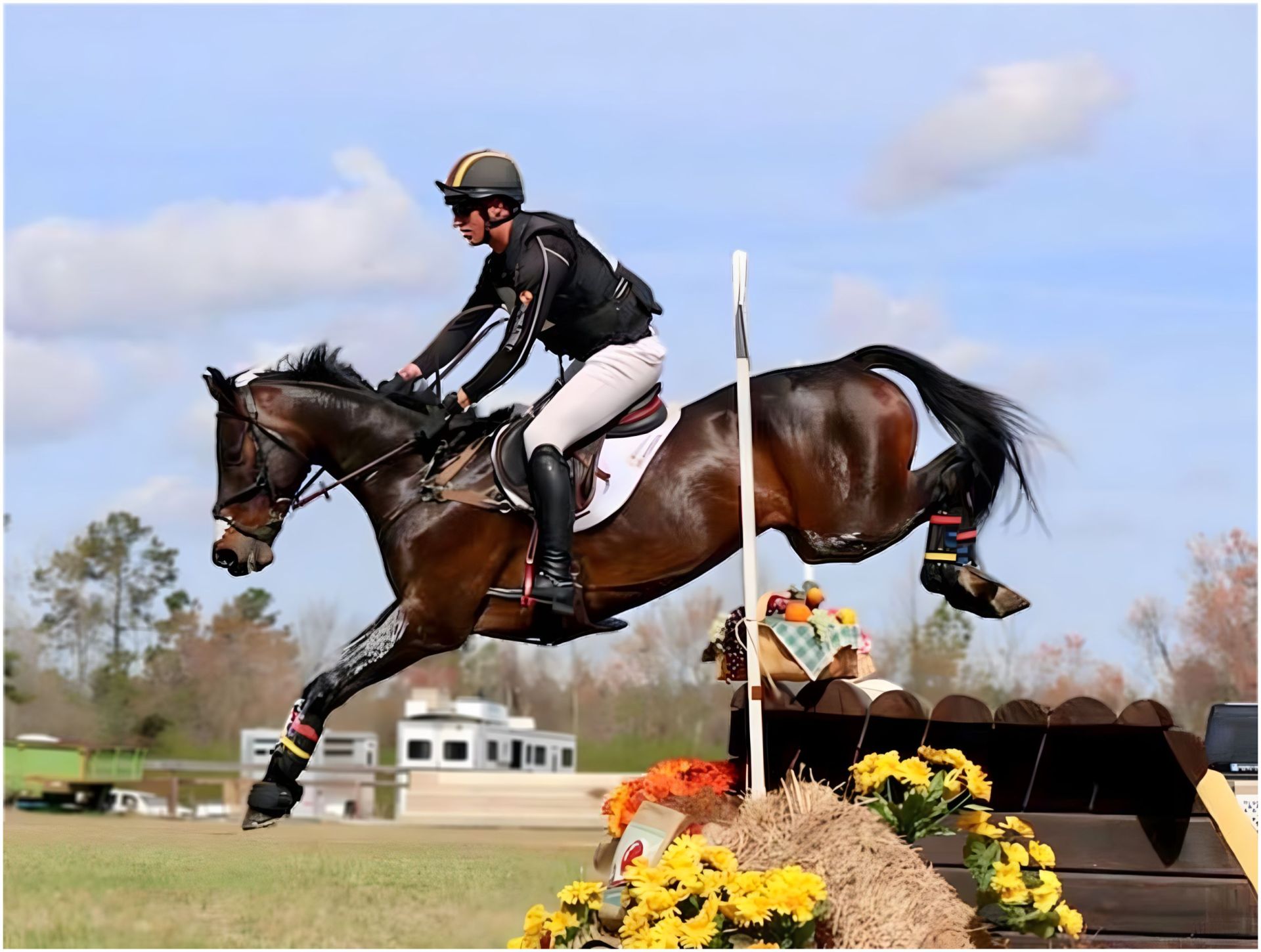 A rider performing a jump on a horse, with colorful flowers and a natural backdrop.