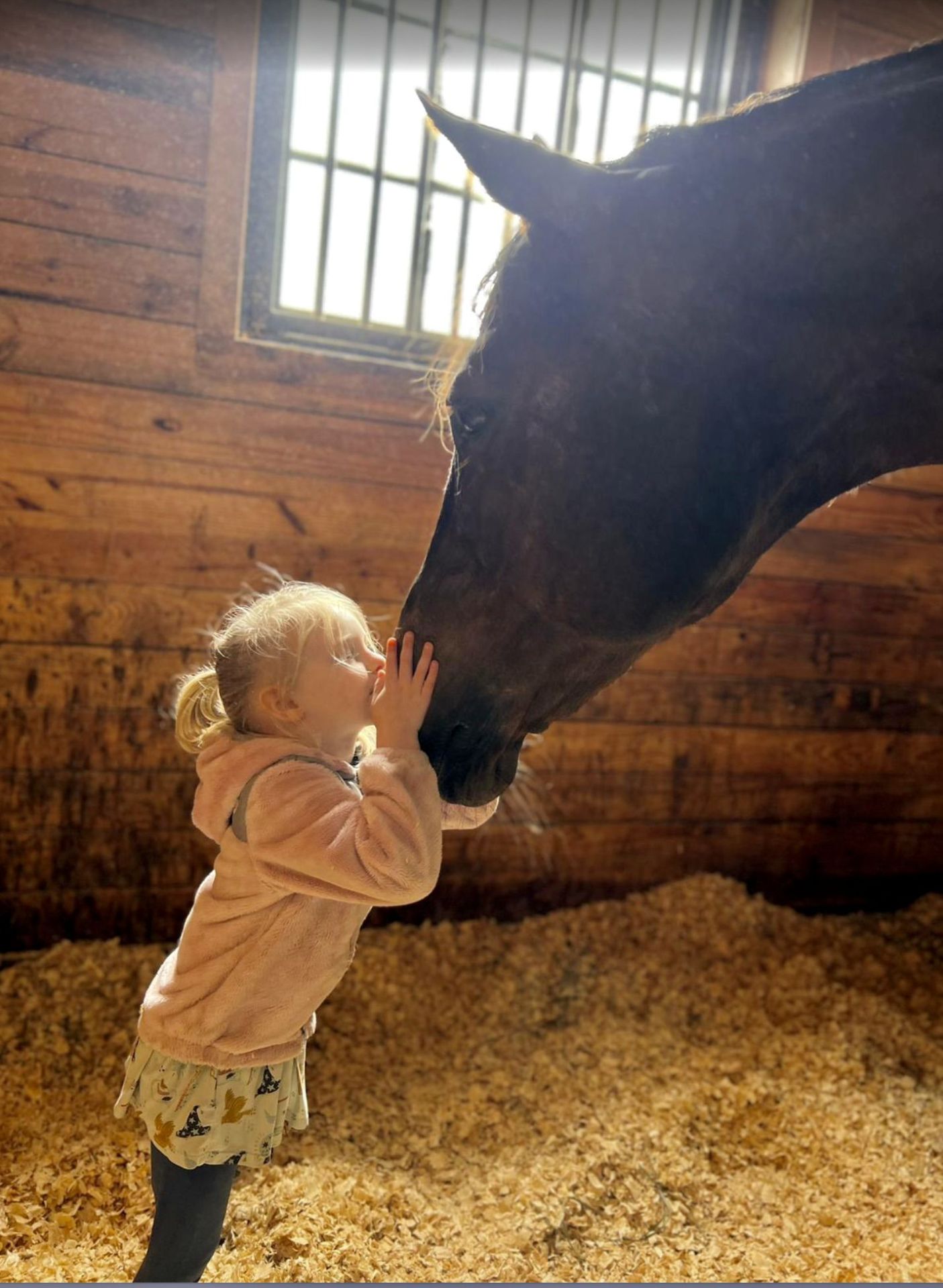A young child kisses the nose of a brown horse inside a barn, with wooden walls and a straw floor.