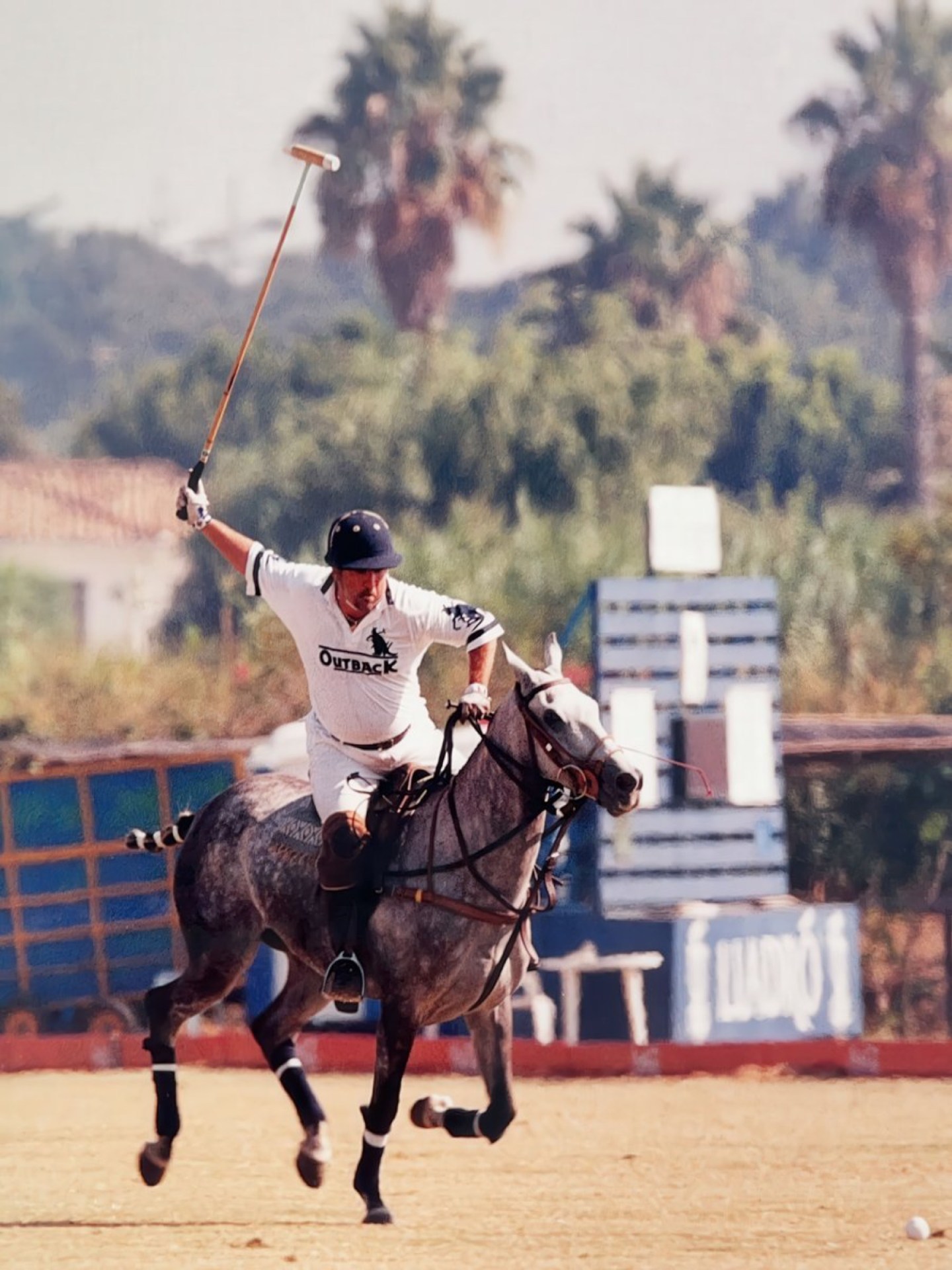 A polo player in a white uniform riding a gray horse, raising a mallet in action during a match.